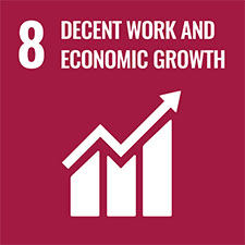 SDG Goal8 Decent Work and Ecnomical Grorwth