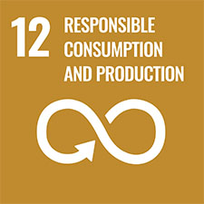 SDG Goal12 Responsible Production and Consumption