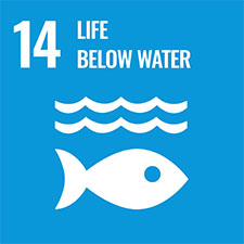 SDG Goal14-Life Under water