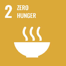 SDG Goal2 Zero Hunger